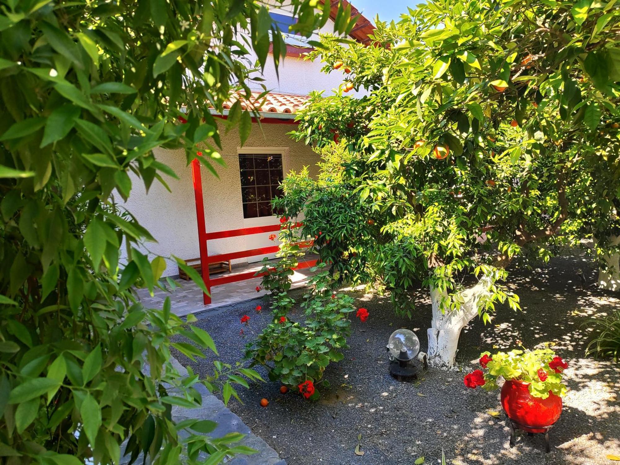 Cottonclub Villas Tolón Extérieur photo