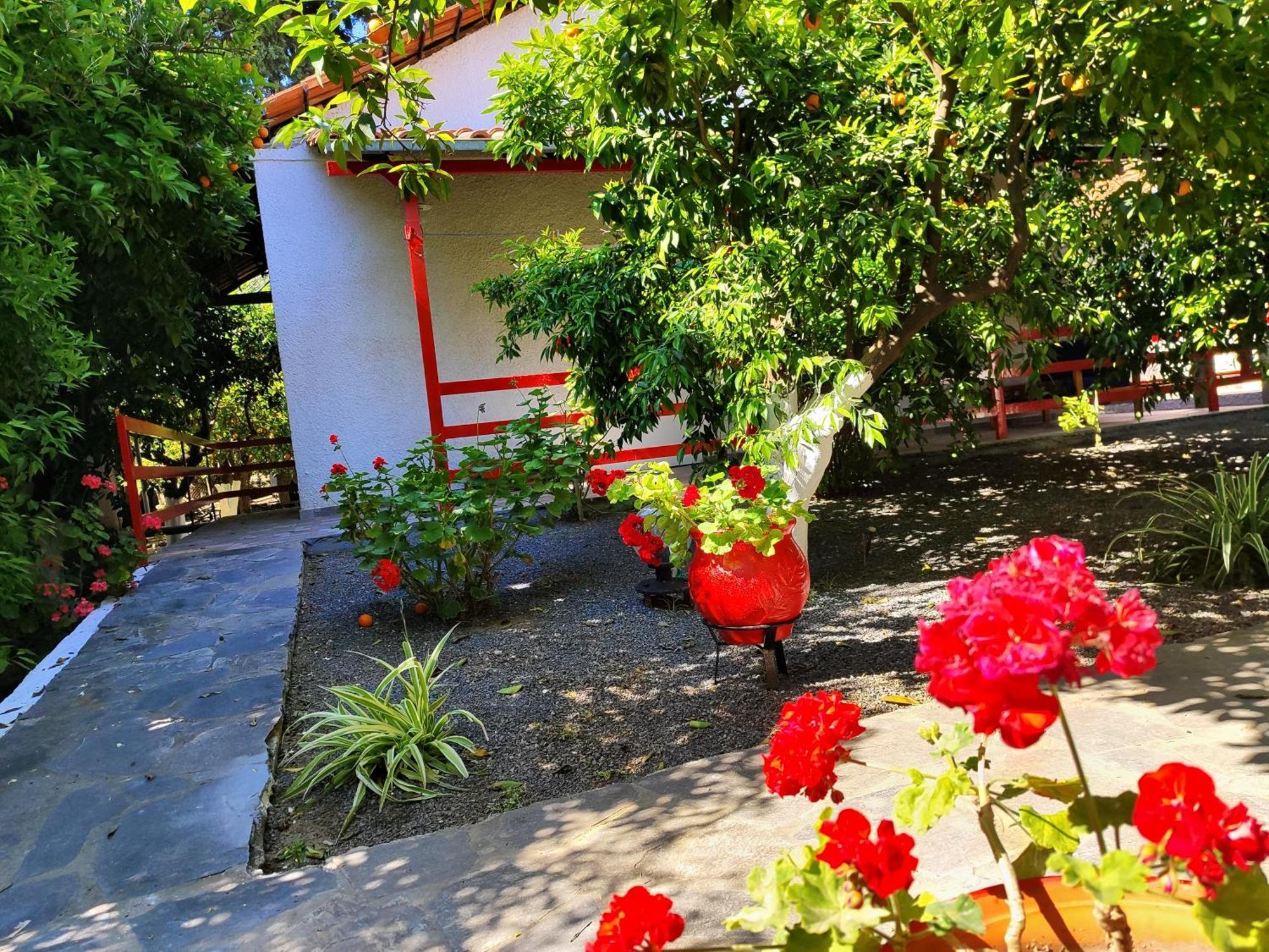 Cottonclub Villas Tolón Extérieur photo